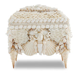 Seashell Jewelry Box