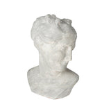 Pompeii Venus Bust, Gray
