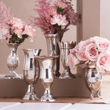 Queen Anne's Vases - Silver-Plated Brass Set of 6