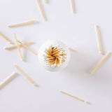 Golf Ball Striker