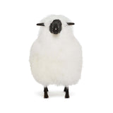 Lucie Baby Sheep