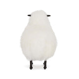 Lucie Baby Sheep