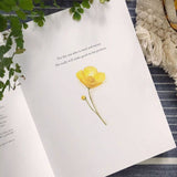 Freely & Lightly Spiritual Journal by Emily Lex Studio