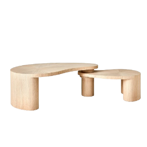 Organic Sculptural Coffee Table Set