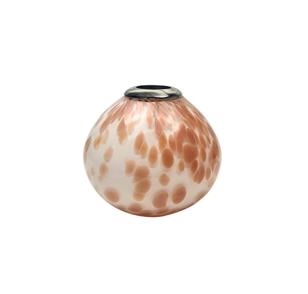 Pongo Match Striker Oatmeal on Whit e