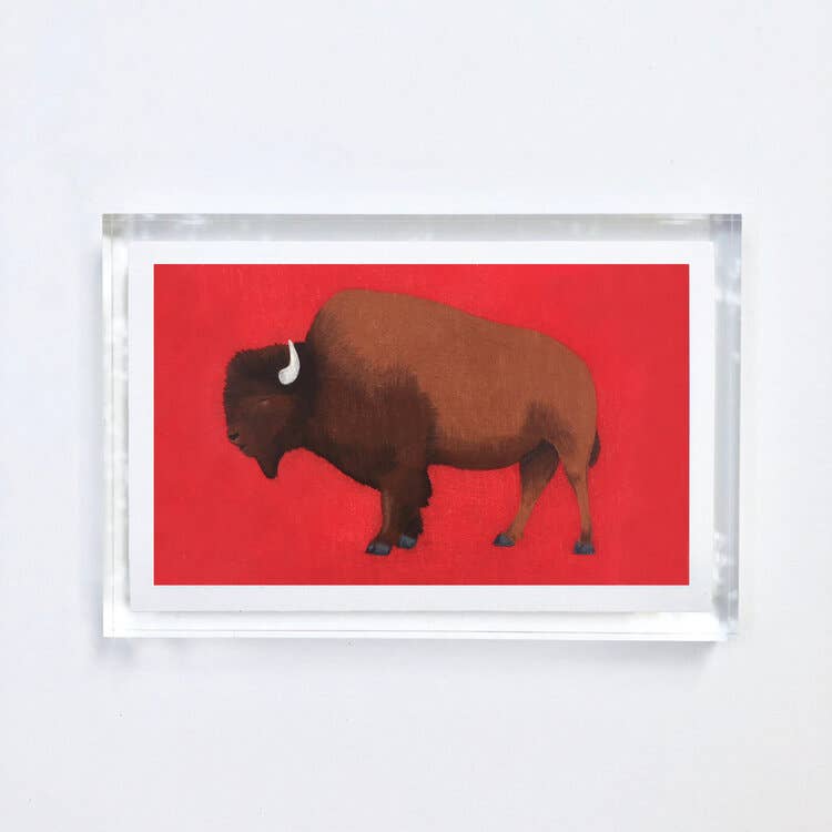Buffalo Print With Acrylic Frame